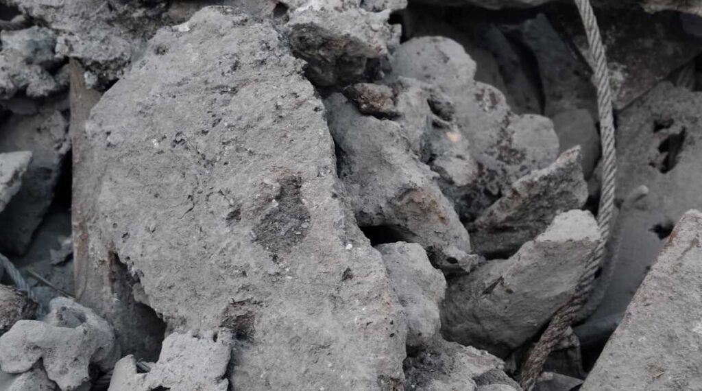 img13 100mm plus (1)